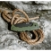 N Cold Steel 5-Max FL-50MAX