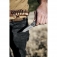 N Kershaw Radar 5560