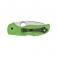 N� Spyderco Native 5 Salt Green LC200N C41SGR5