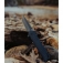 N Schrade Steelhead 1159314