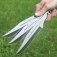 N rzutka United Cutlery Hibben Throwing zestaw 3 sztuk GH5106